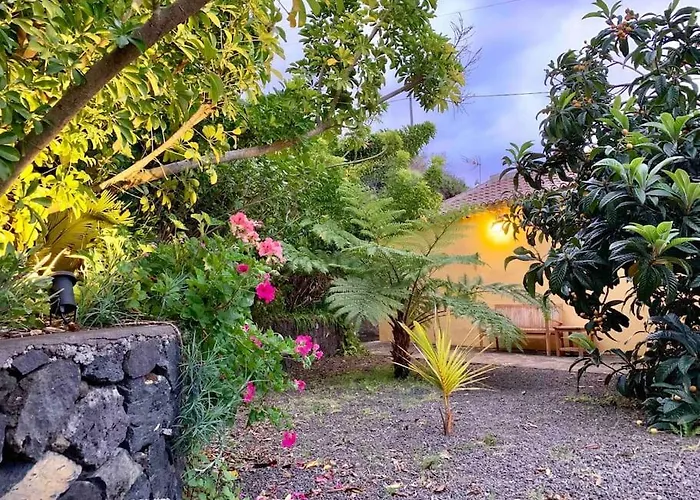 Rustic House La Montana فيلة Breña Baja