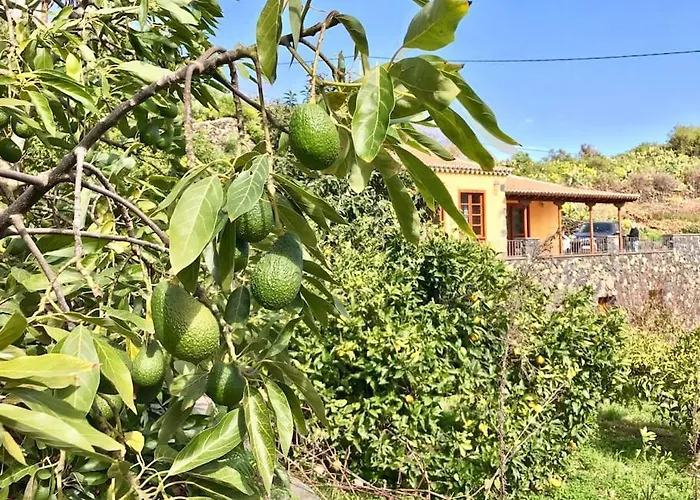 Rustic House La Montana